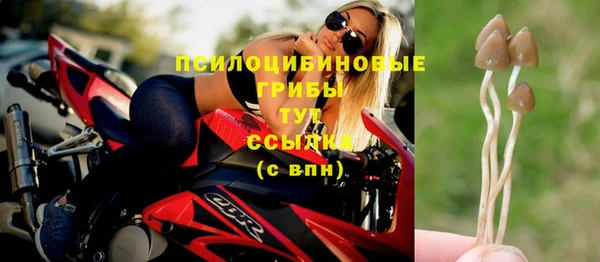 ECSTASY Алзамай