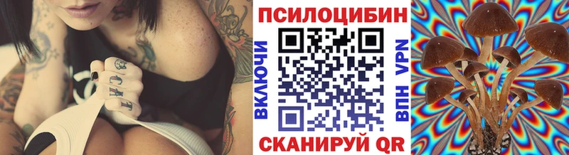 купить наркоту  Астрахань  ОМГ ОМГ как войти  Псилоцибиновые грибы GOLDEN TEACHER 